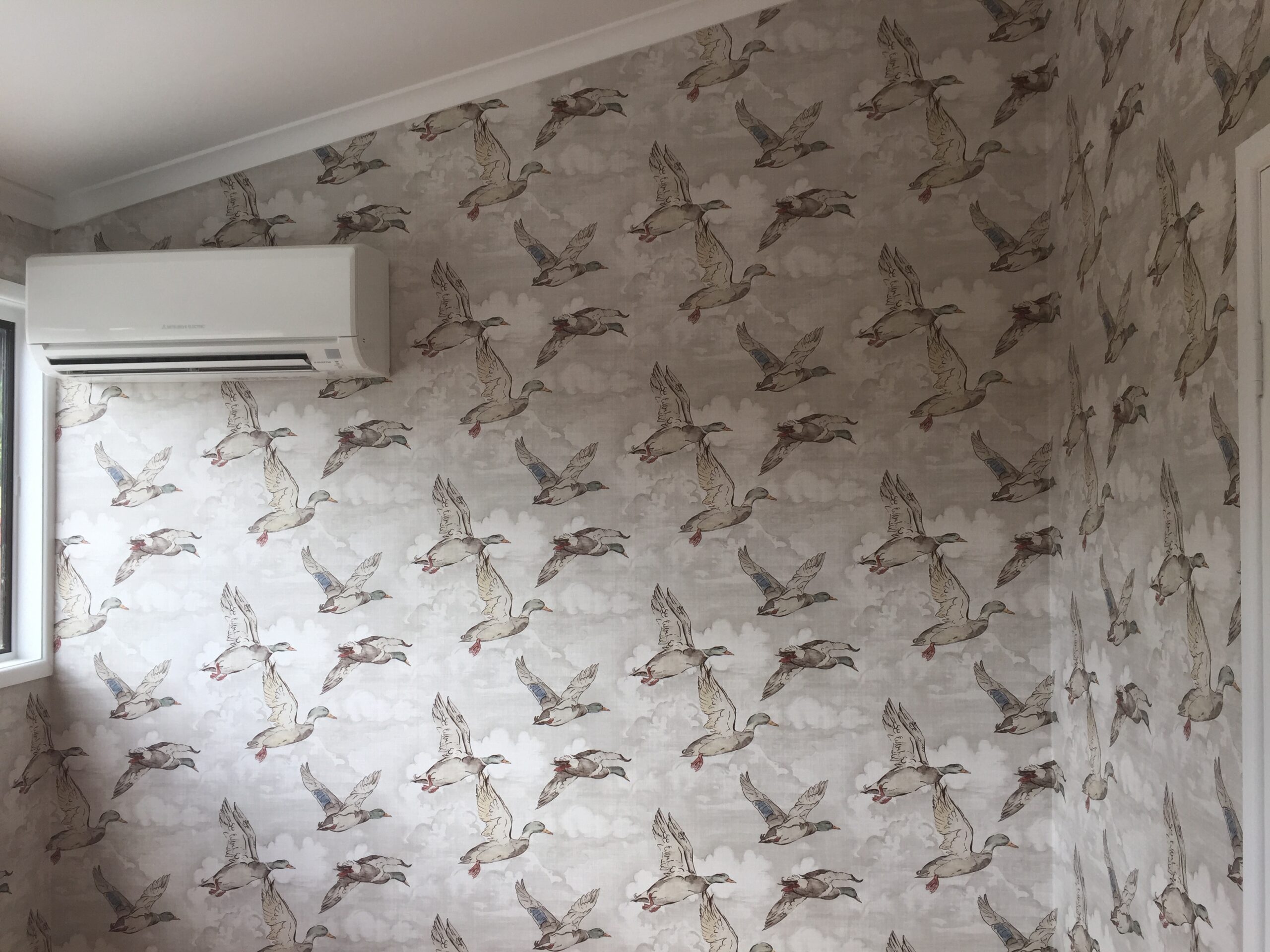 Kooky Kid clinic duck wallpaper