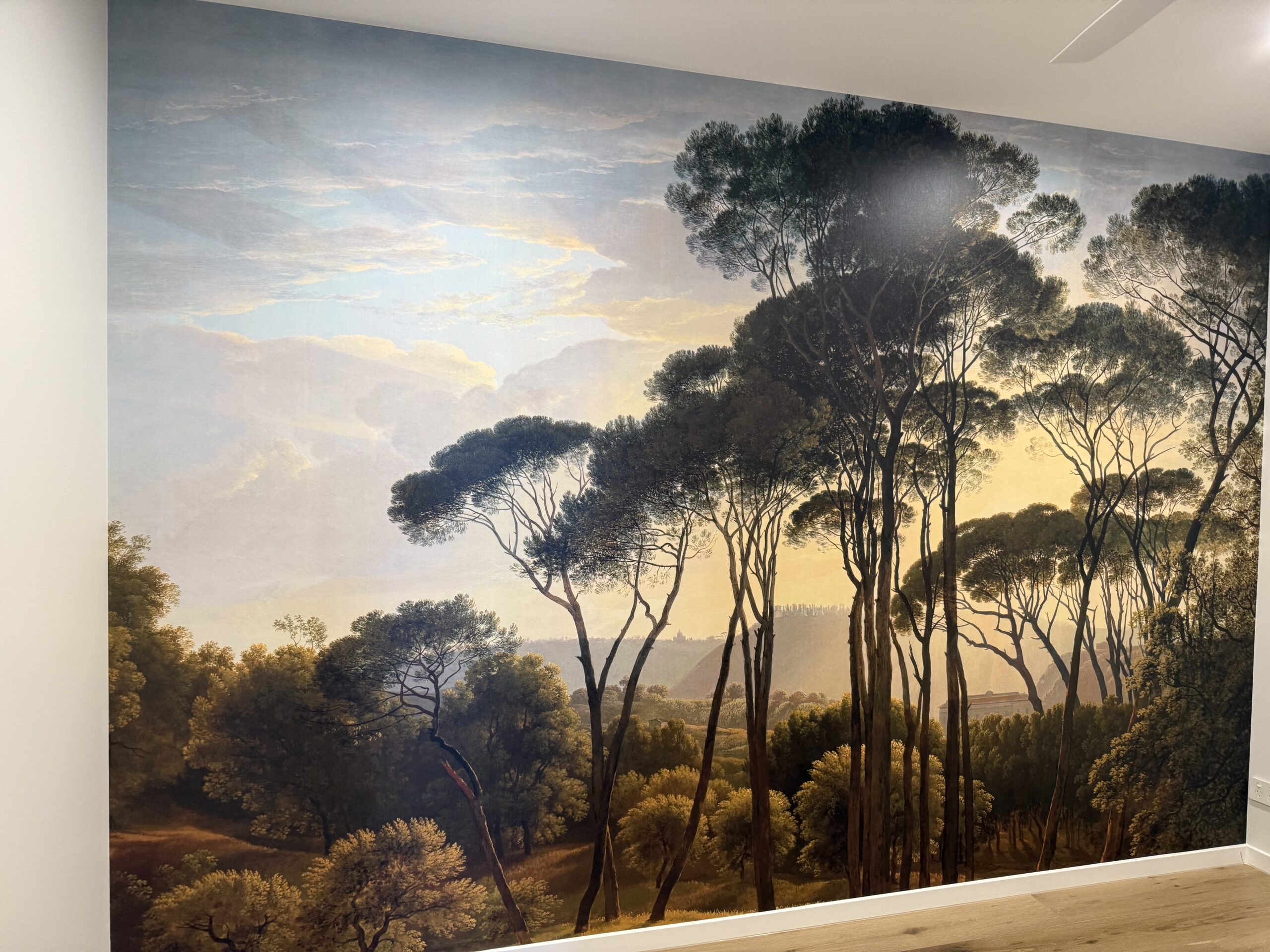 Landscape mural by NLXL. A feature wall that replaces the need for artwork.