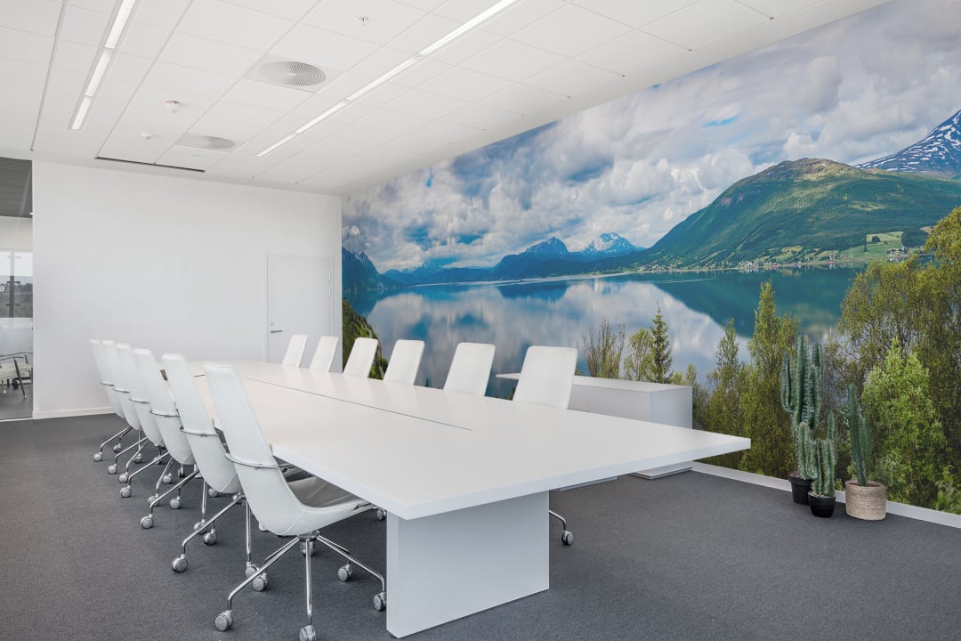 Rebelwalls mural in boardroom showing a lake and mountains scene