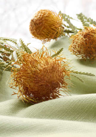 Sage green fabric with a pop of orange - colours that go with sage green