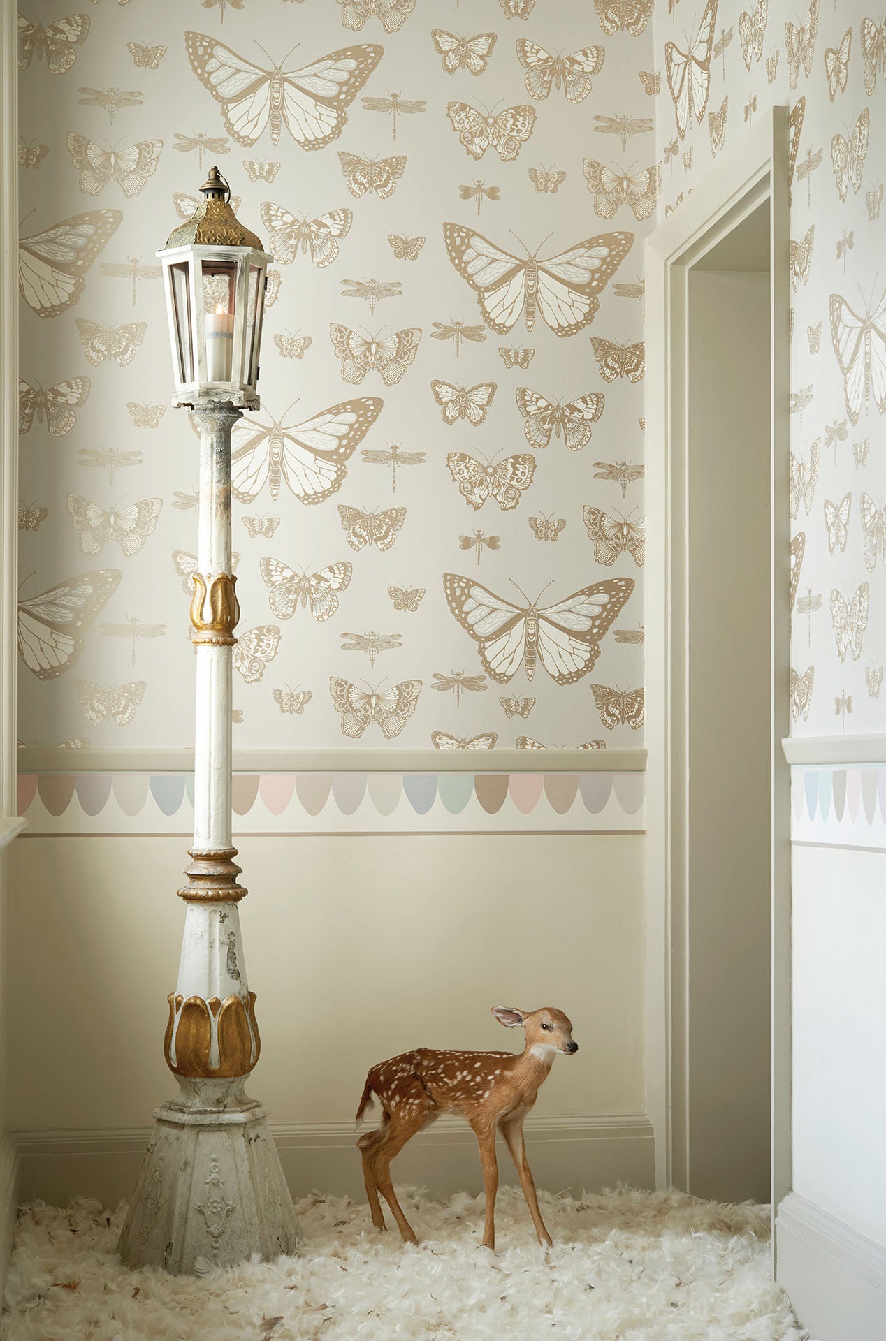 Cole and Son wallpaper border and butterflies and dragonflies wallpaper for kids room