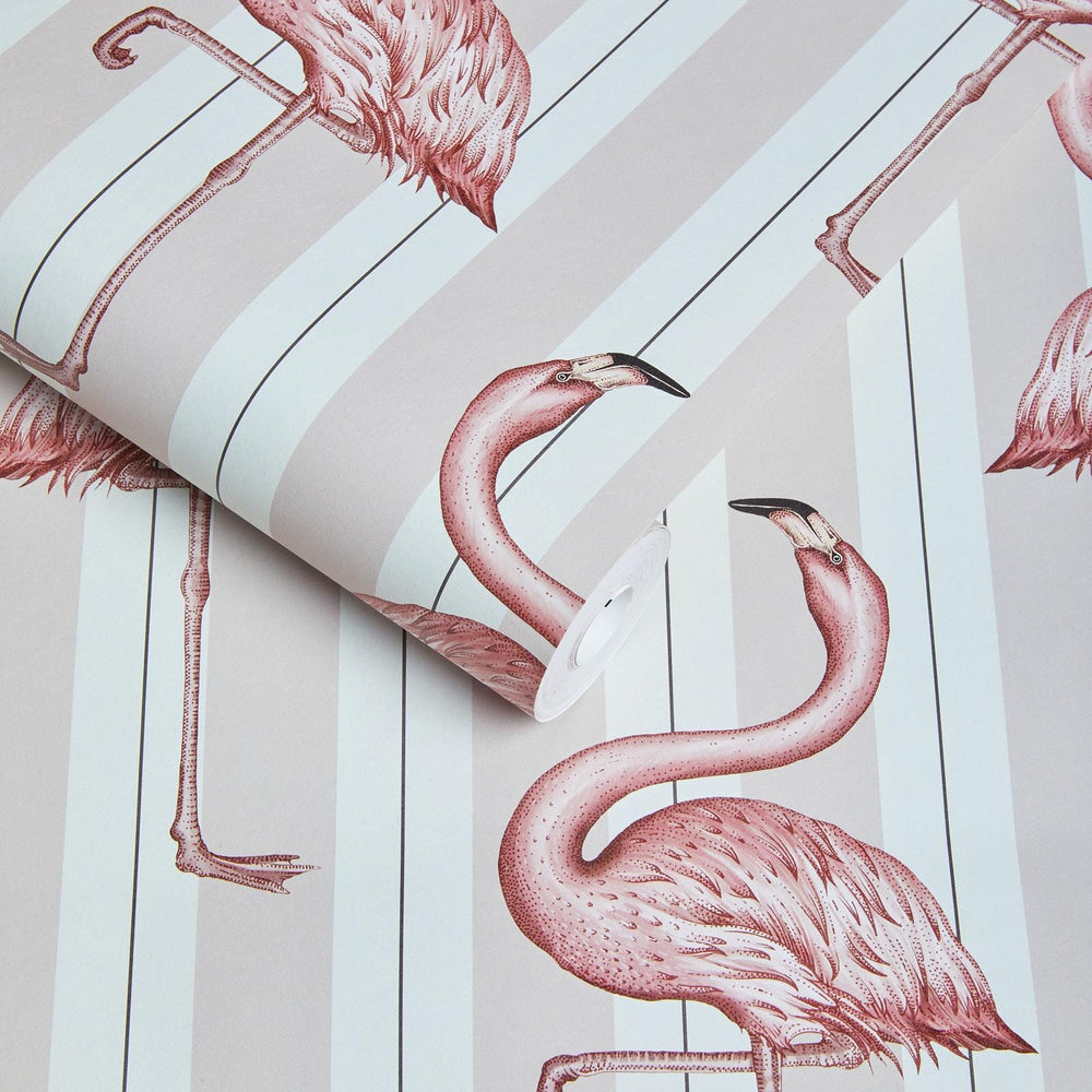 Flamboyance wallpaper featuring flamingoes on pink stripes