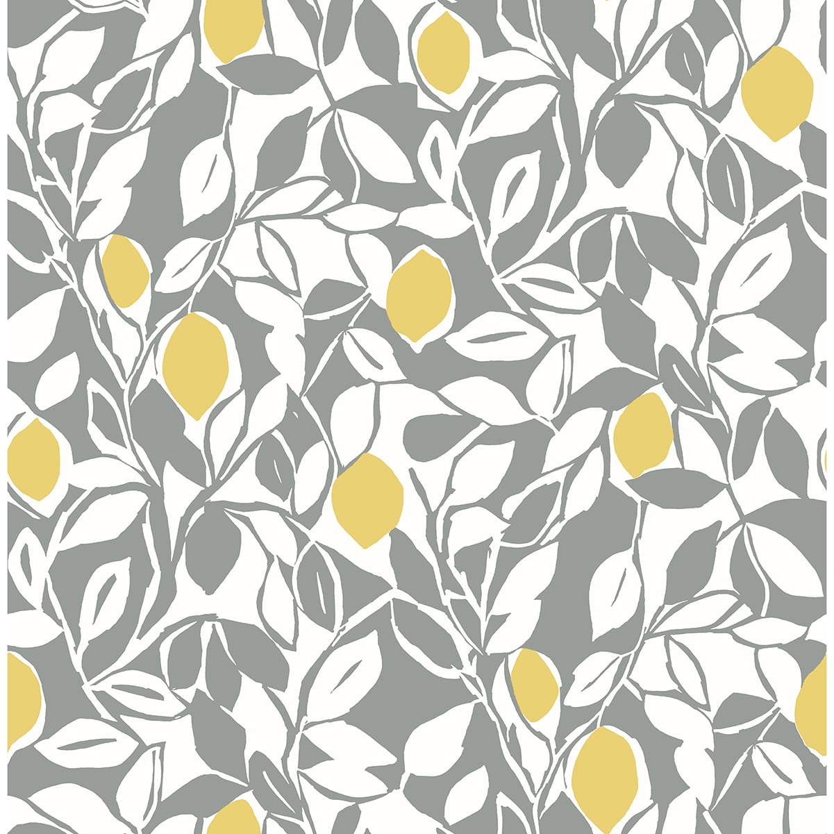 Loretto Citrus - Image 2