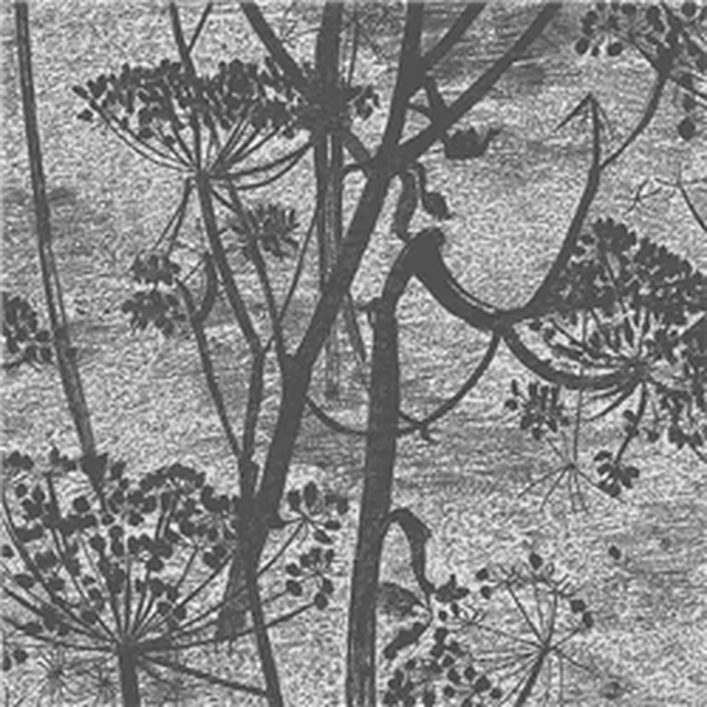Cow Parsley - Image 2