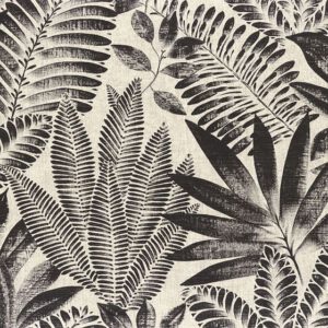 Aloes - Black - Sale