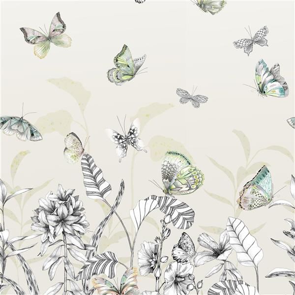Papillons - Image 2