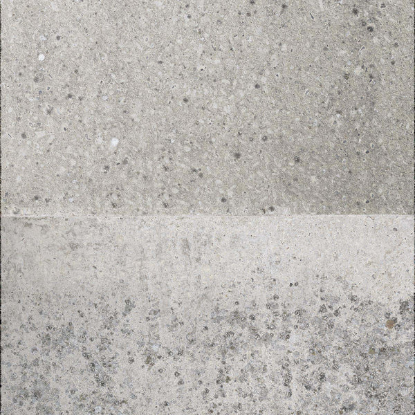 Weathered Moss Concrete - Image 3
