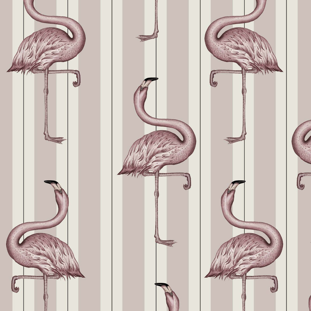 Flamboyance - Image 2