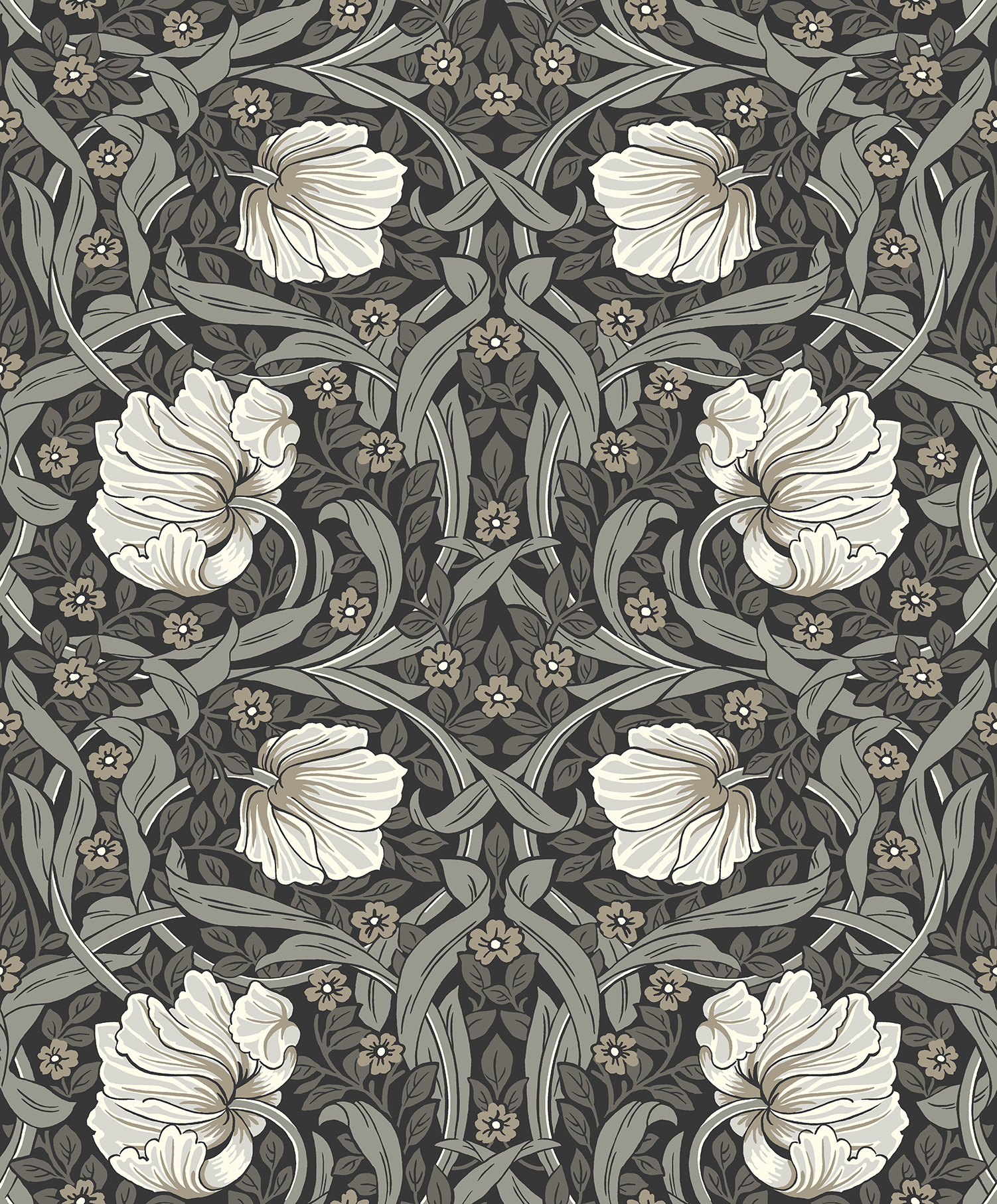 Pimpernel - Image 2